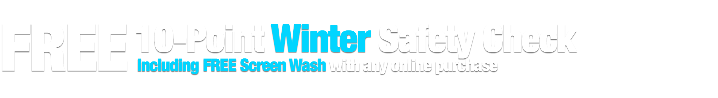 Free 10-Point Winter Safety Check including FREE Screen Wash with any online order
